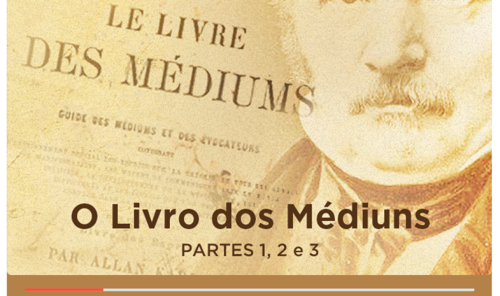 O Livro dos Médiuns: sua ordem didática e utilização na prática mediúnica